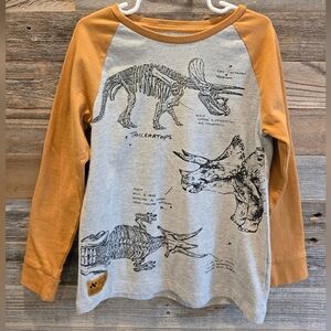 Little Boys Long Sleeve Dinosaur Tee